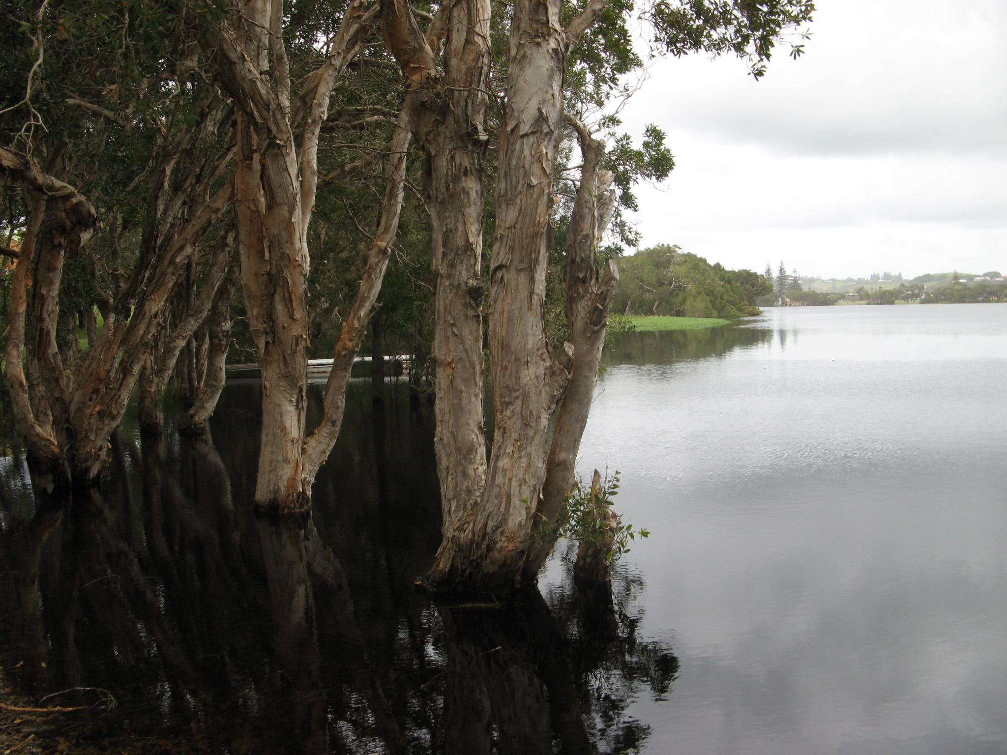 IMG_2837 copy EP NSW